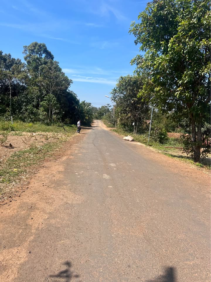 Đất đẹp Ea Kao 420m² giá 990 triệu - Tiềm năng tăng giá cao!