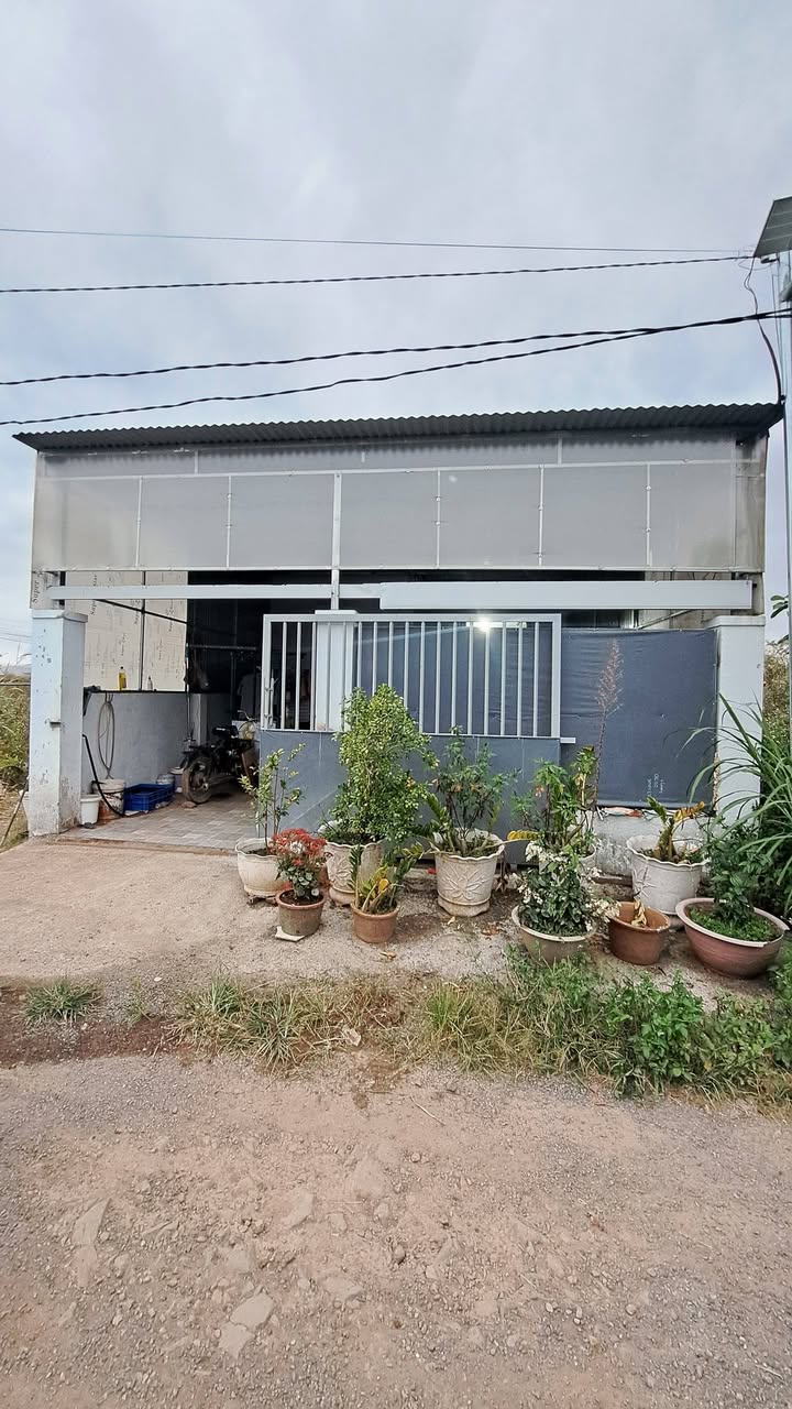 Nhà cấp 4 chính chủ Huyện Đức Trọng 180m² giá 870 triệu - Bán gấp trước Tết!