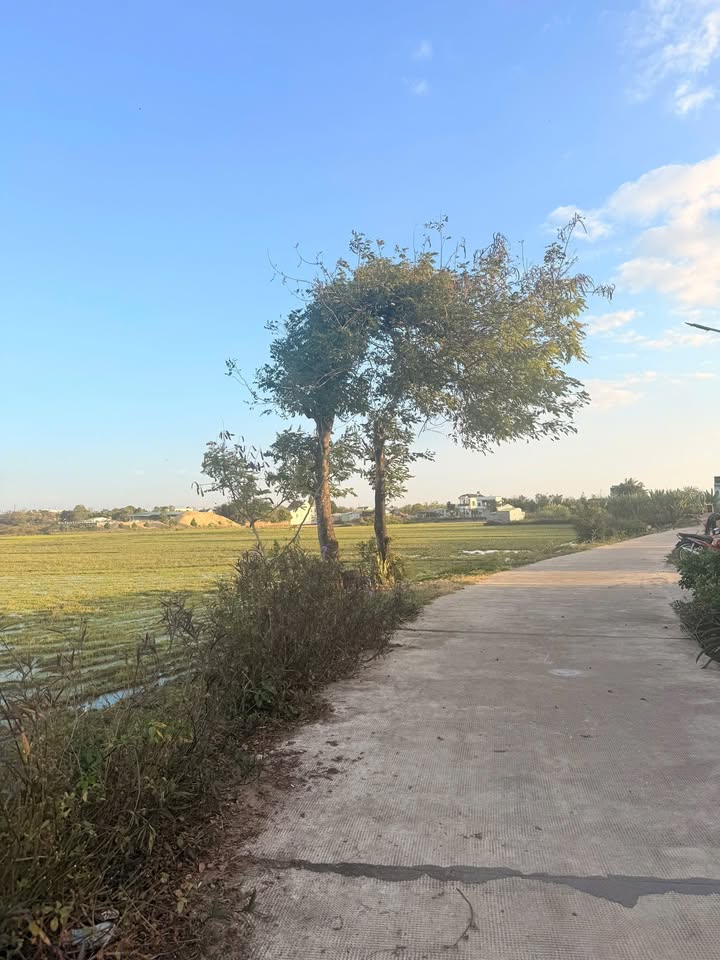 Đất ở đô thị Phường Thống Nhất 1440m² giá chỉ 1.x tỷ - Đầu tư sinh lời ngay!