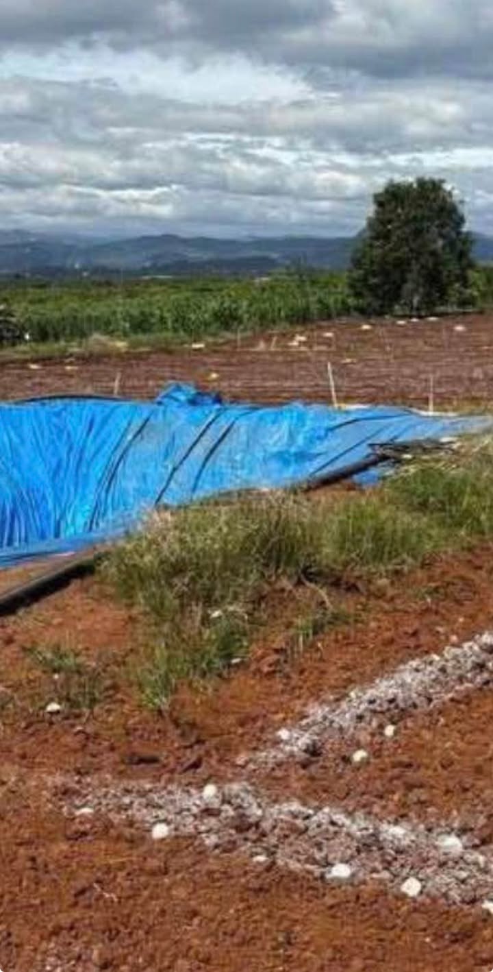 Lô đất 9.500m² tại Ba Cản, Tân Hội, Đức Trọng giá chỉ 4.6 tỷ - Đầu tư sinh lời hợp lý!