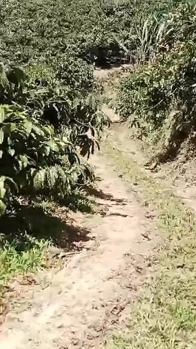 Đất nền 1.5ha Đa Quyn, Đức Trọng - Giá chỉ 1.2 tỷ, cơ hội đầu tư hấp dẫn!