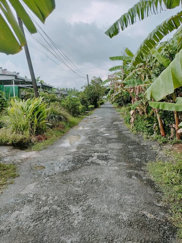 Đất nền khu dân cư An Phú, xã Khánh An, 267m² giá 450 triệu - Cơ hội đầu tư lý tưởng!