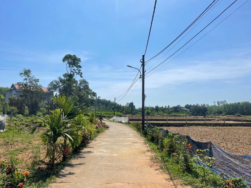 Đất nông nghiệp Hòa Nhơn Đà Nẵng 510m² giá chỉ 500 triệu - Đầu tư sinh lời dài hạn!