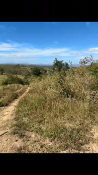 Đất nền 1,2ha tại Chư Hreng, Kon Tum - Giá chỉ từ 100 triệu!