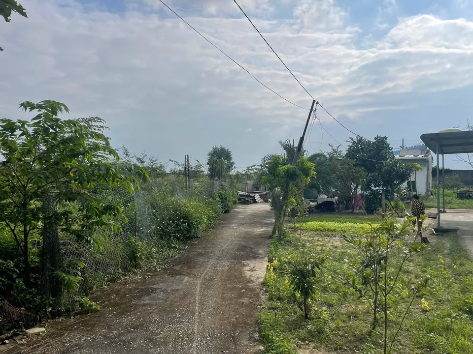 Đất nền phường Trương Quang Trọng 96m² giá chỉ 500 triệu - Đầu tư sinh lời ngay!