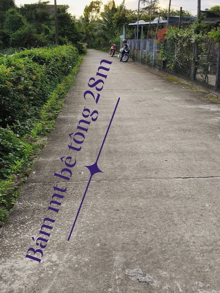 Đất nền Vườn Phổ Quang, Quảng Ngãi 1000m² giá chỉ 6.5 tỷ - Đầu tư sinh lời ngay!