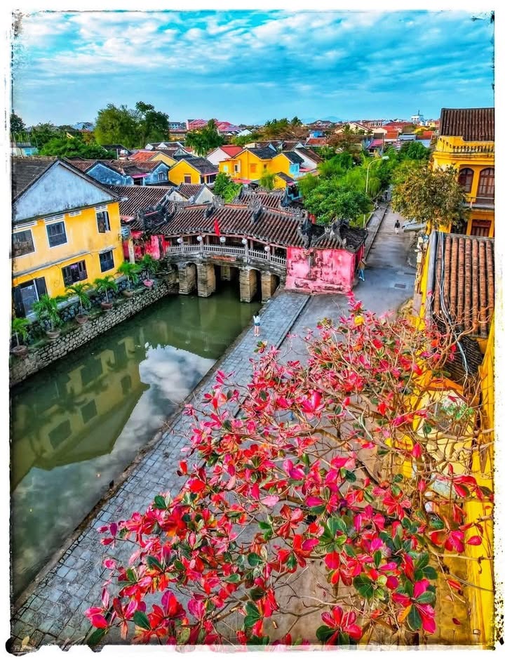 Bán gấp nhà mặt tiền kinh doanh Nguyễn Phúc Chu, Hội An 185m² - Cơ hội đầu tư sinh lời ngay!