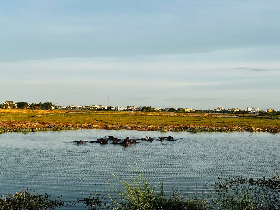 Đất nền An Bàng Hội An 861m² giá thỏa thuận - Tiềm năng nghỉ dưỡng vượt trội!