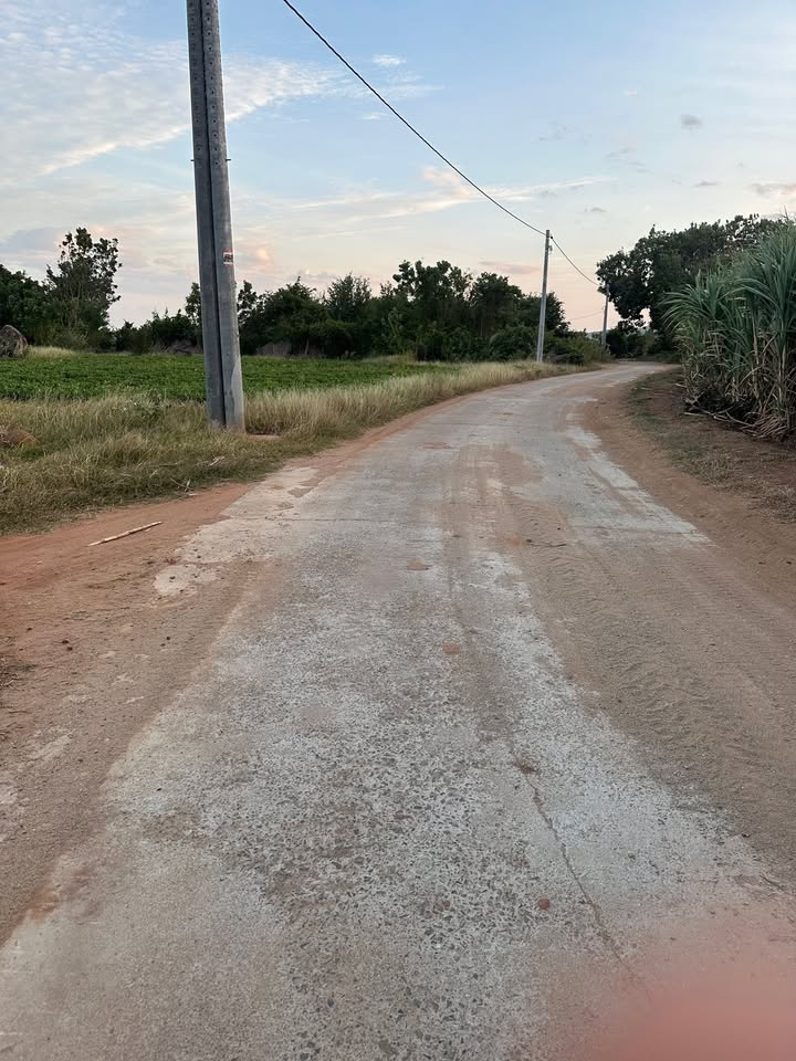 Đất mặt tiền đường Mỹ Sơn, Ninh Hòa 15000m² chỉ 2.025 tỷ - Cơ hội đầu tư hấp dẫn!