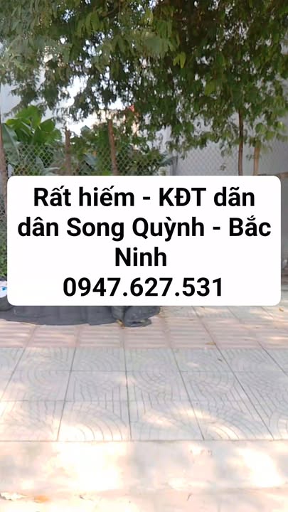 Đất lô Hoa Hậu Thị trấn Gia Bình 85.8m² - Cơ hội đầu tư tuyệt vời!