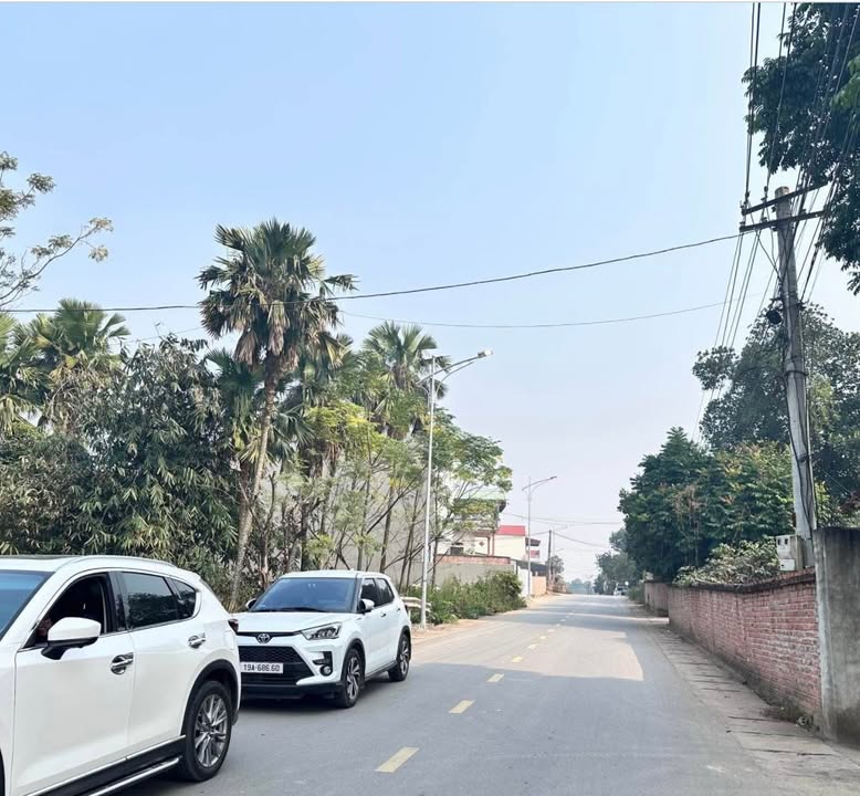 Đất nền Khu 1 Xã Thanh Đình 177m² giá 1.5 tỷ - Cơ hội đầu tư tuyệt vời!