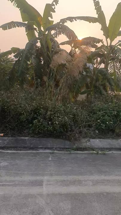 Đất nền khu đô thị Khánh Nhạc, 138m², giá thỏa thuận - Cơ hội đầu tư hấp dẫn!