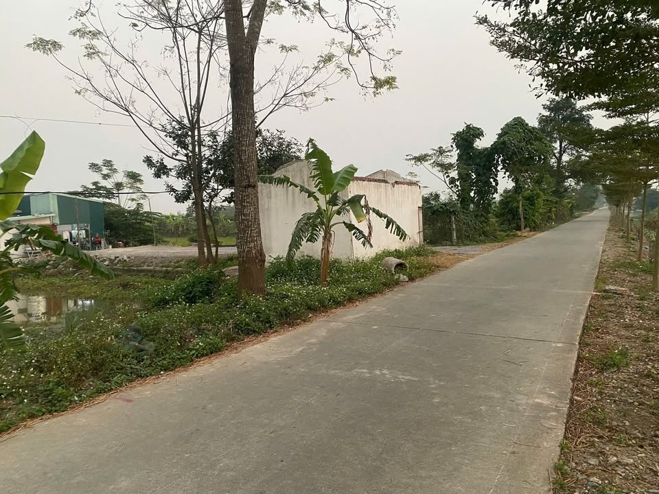 Đất nền Liên Sơn 150m² giá 1.3 tỷ - Cơ hội đầu tư không thể bỏ lỡ!