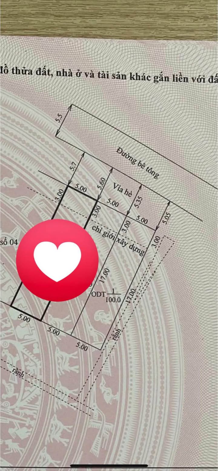 Đất nền Quy hoạch Hang Hùm Uông Bí 100m² giá 900 triệu - Cơ hội đầu tư lý tưởng!