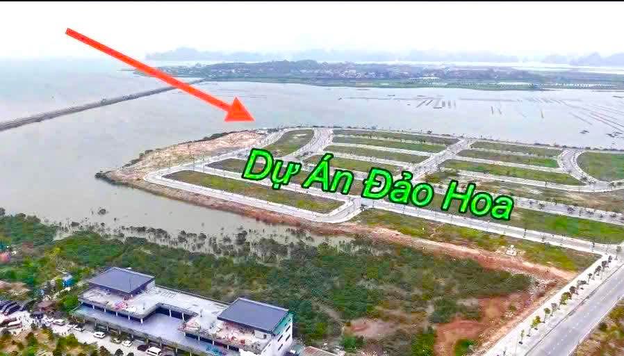 Biệt thự Đảo Hoa Tuần Châu 368.1m² - Giá thỏa thuận, cơ hội đầu tư hấp dẫn!