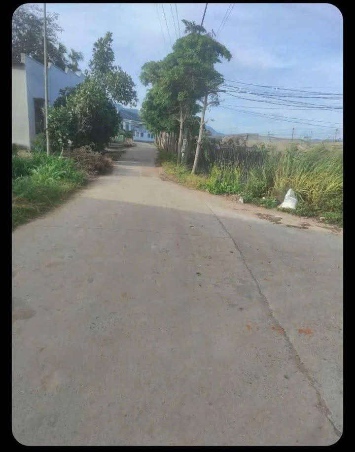 Đất thổ cư 550m² tại Thạnh Mỹ, Đơn Dương, Lâm Đồng - Giá chỉ 2 tỷ!