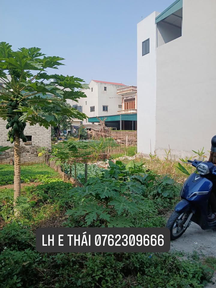 Đất ngõ Oto Lê Cảnh Tuân, Hải Tân, 50m² giá 1.4 tỷ - Cơ hội đầu tư tuyệt vời!