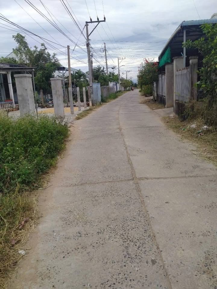 Đất nền Cây Trồng, Quốc Lộ 28, 450m² giá 450 triệu - Cơ hội đầu tư hấp dẫn!