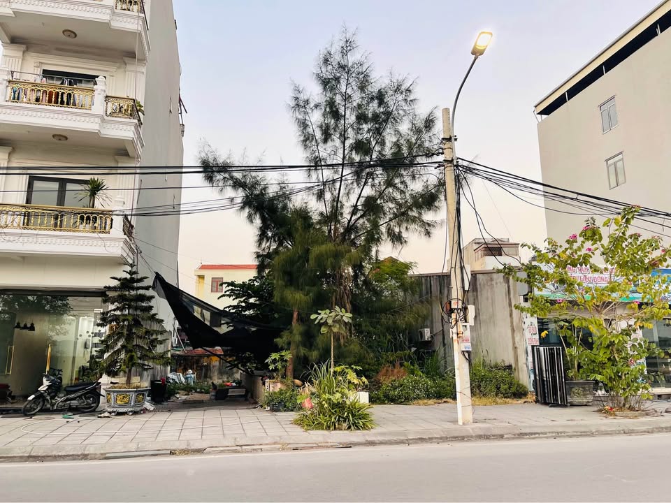 Đất Bến Do Cẩm Trung 60m² giá 3 tỷ - Đầu tư sinh lời và thuận tiện kinh doanh!