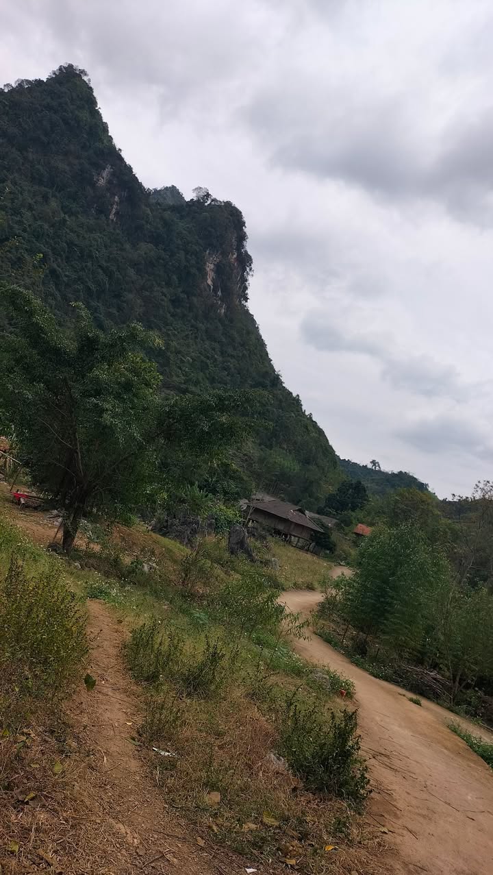 Đất ở Khe Mo, Thị trấn Sông Cầu, 14000m² - Giá chỉ 2 tỷ!