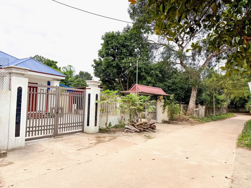 Đất thổ cư 750m² tại Tân Lập - Đường thông đẹp, chỉ 4.5 tỷ!