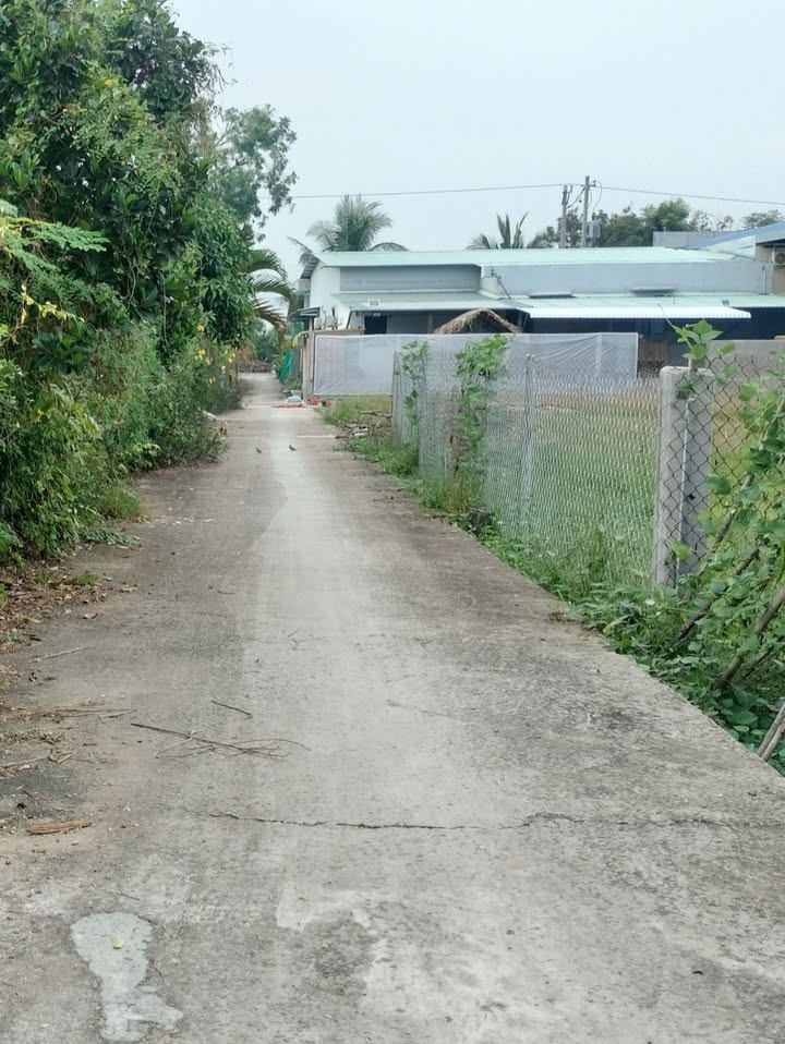 Đất thổ cư Phường Mỹ Phong 84m² giá chỉ 380 triệu - Đầu tư sinh lời ngay!