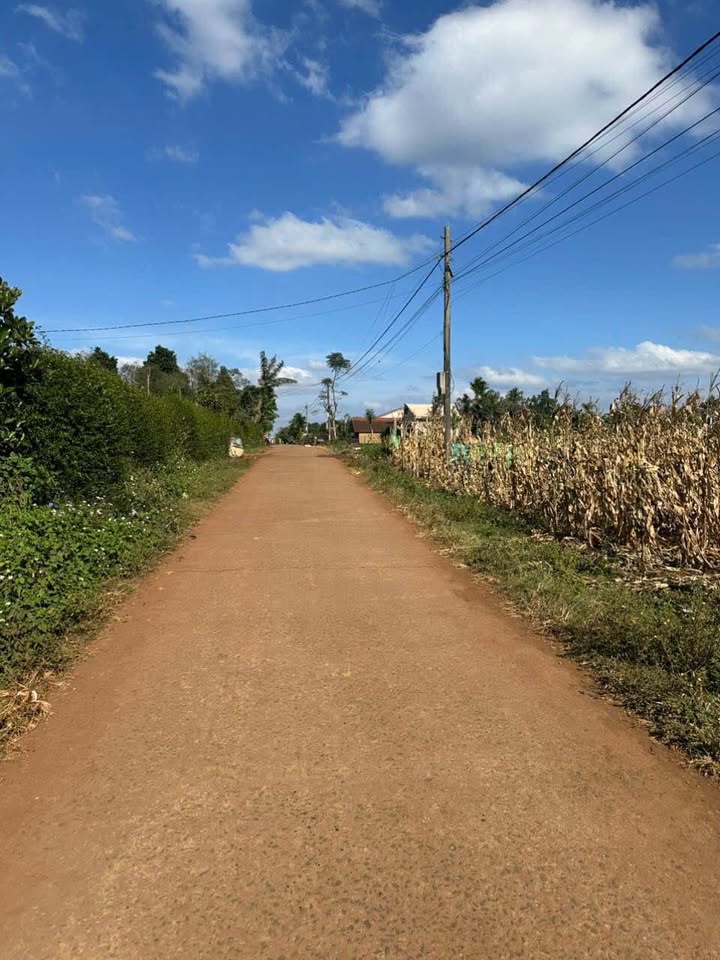 Lô đất thổ cư 525m² tại Ea Drông, Buôn Hồ, Đắk Lắk - Đón tài lộc, giá chỉ 44.625 tỷ!