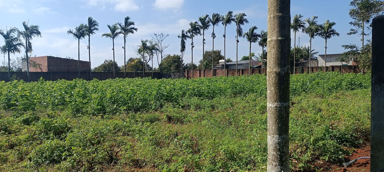 Đất nền buôn Eapal, Ea Păl, 400m² giá chỉ từ 700 triệu - Đầu tư sinh lời!