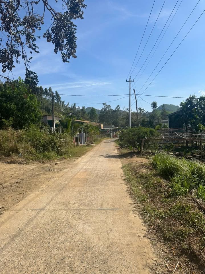 Đất thổ cư 1039m² tại xã Khuê Ngọc Điền - Giá chỉ 425 triệu, chính chủ bán gấp!