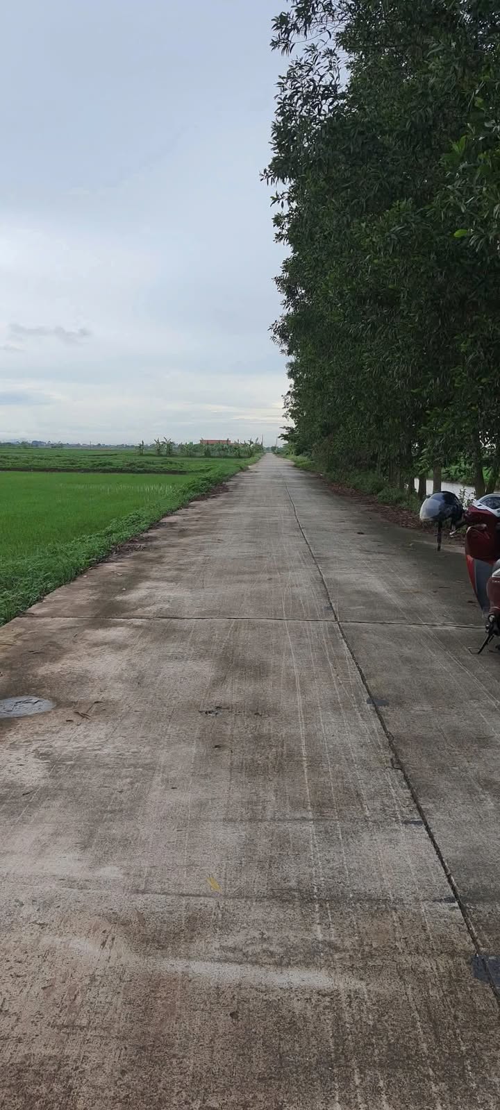 Đất nền Xóm 5 Khánh Thủy 150m² - Cơ hội đầu tư hấp dẫn!