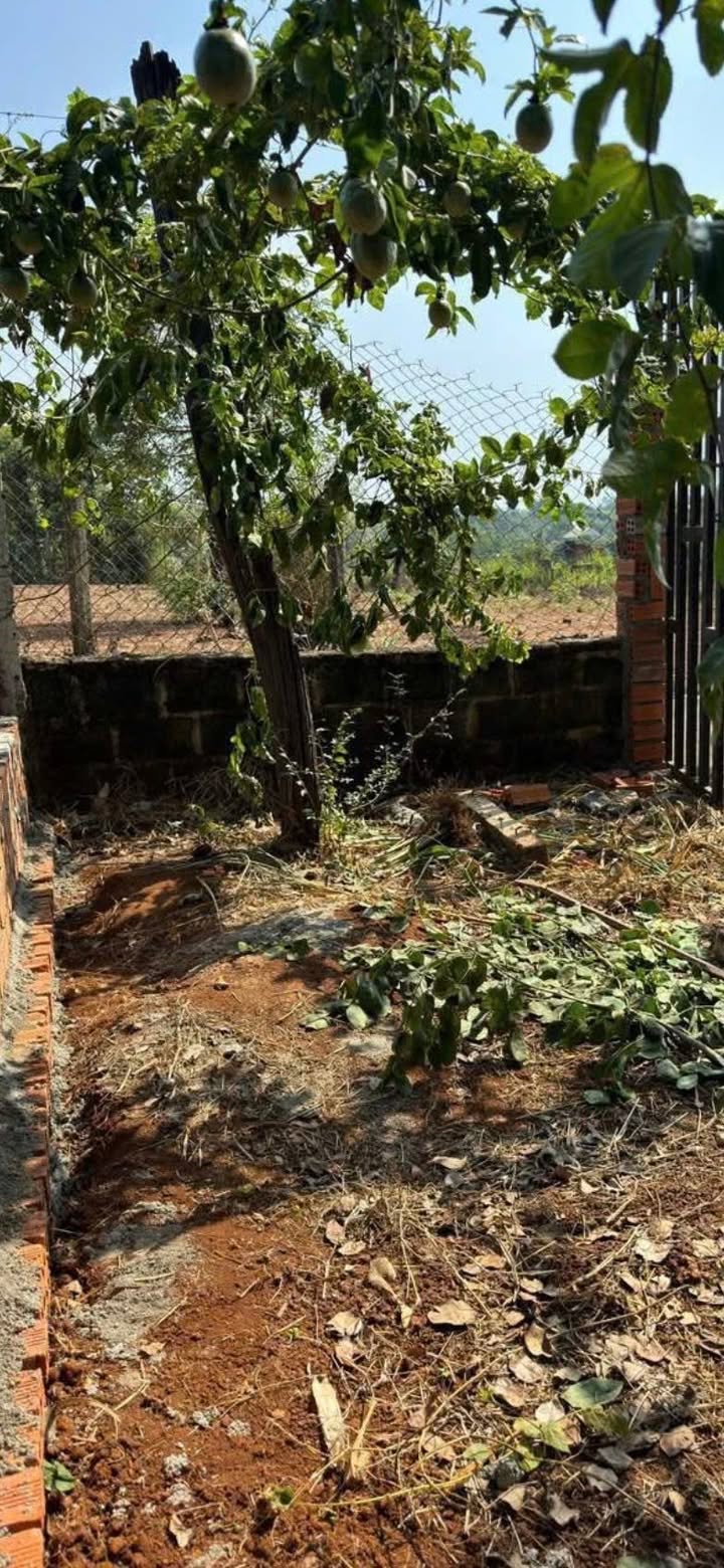 Đất nền liền kề tại xã Ea Na, huyện Krông Ana - 140m² chỉ 875 triệu - Cơ hội đầu tư không thể bỏ lỡ!