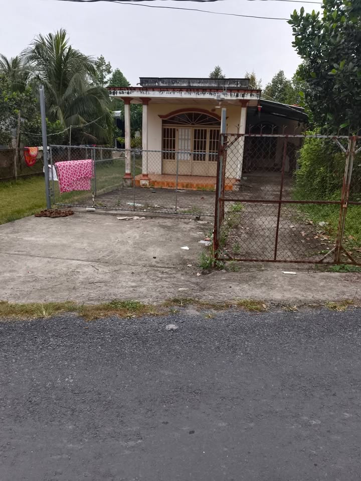 Bán đất thổ cư 300m² tại Mỹ Tây, Cái Bè - Giá chỉ 1.5 tỷ!