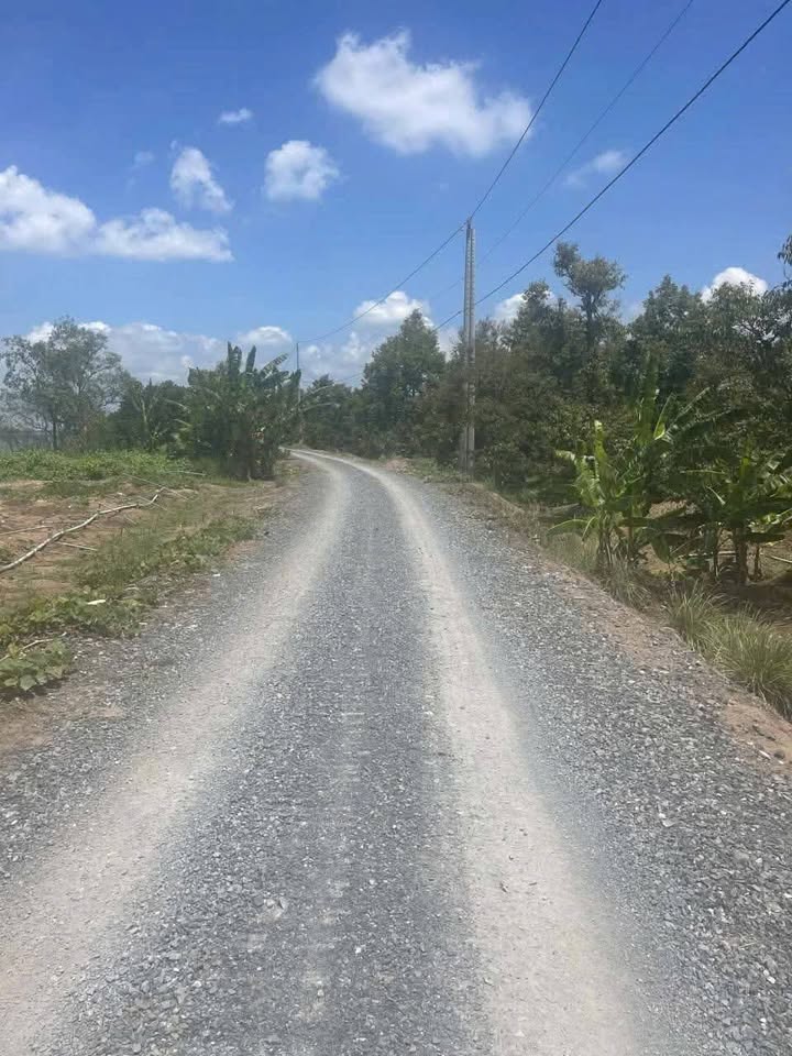 Đất 3200m² mặt tiền 49m tại Ấp Tân Đông, Ngũ Hiệp - Giá chỉ 6.3 tỷ!