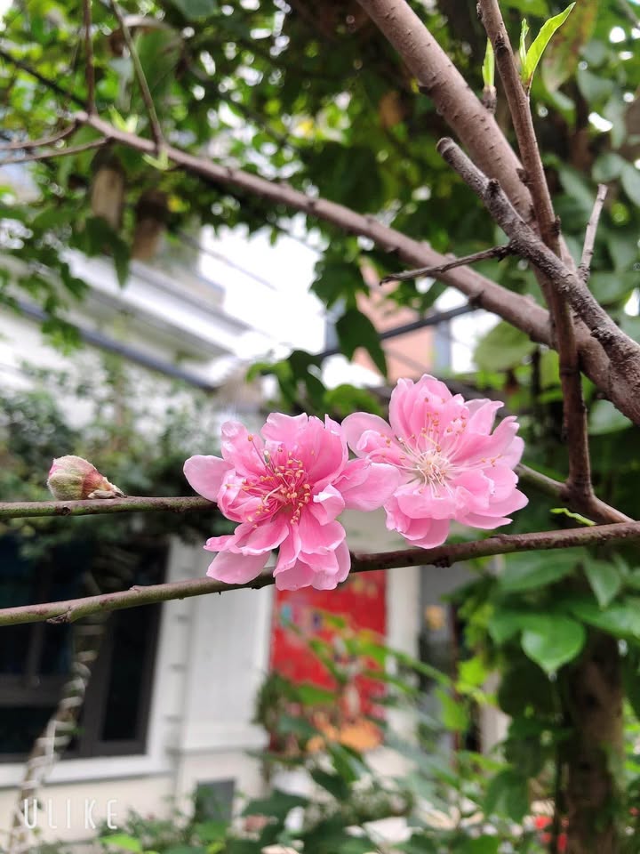 Đất ngõ taxi Phường Tiền Phong 51m² giá 1 tỷ - Chính chủ bán gấp!