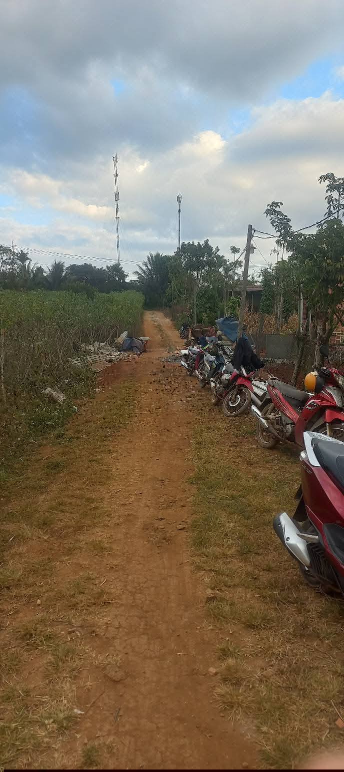 Đất nông nghiệp 600m² tại Tân Nghĩa, Di Linh - Cơ hội đầu tư giá tốt!