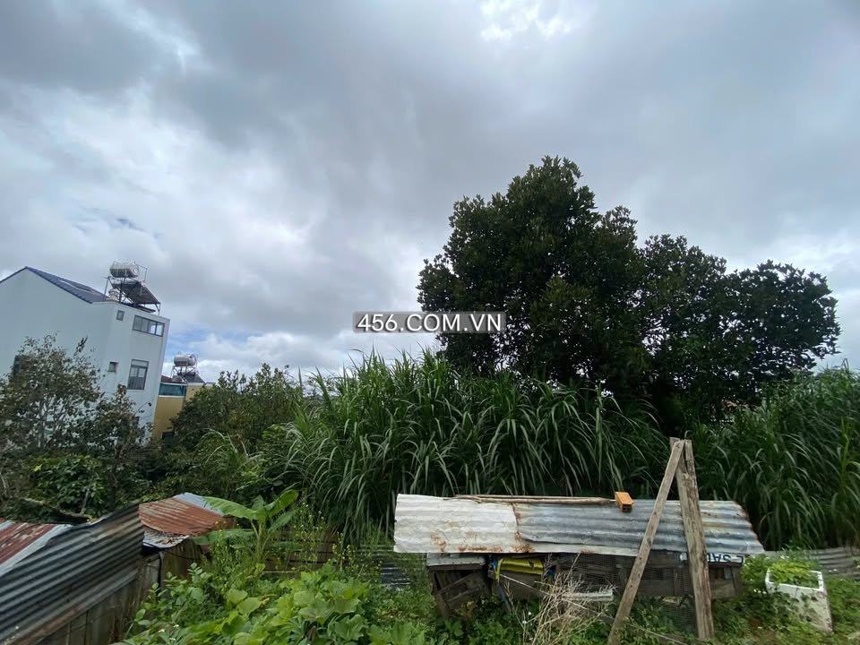 Cho thuê mặt bằng Nguyễn Trung Trực Đà Lạt 470m² - View Núi & Hồ Tuyền Lâm tuyệt đẹp!