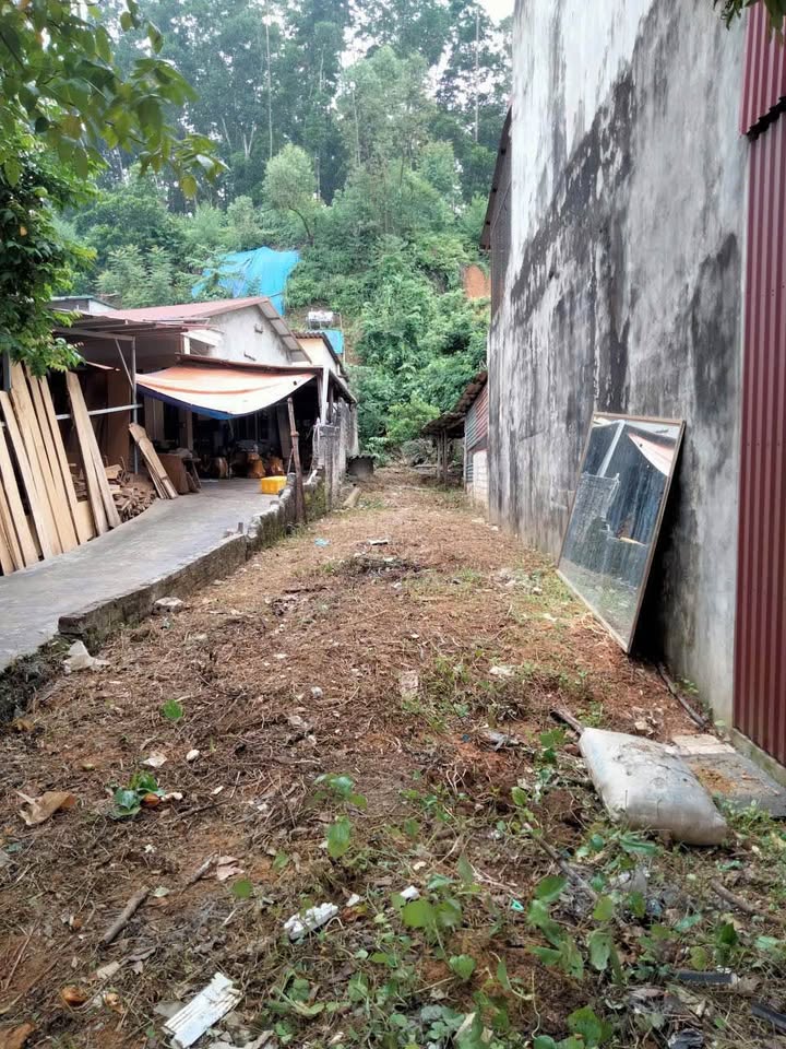Đất nền Lê Lai, Lào Cai 97m² giá 1.3 tỷ - Vị trí đắc địa, giao thông thuận lợi!