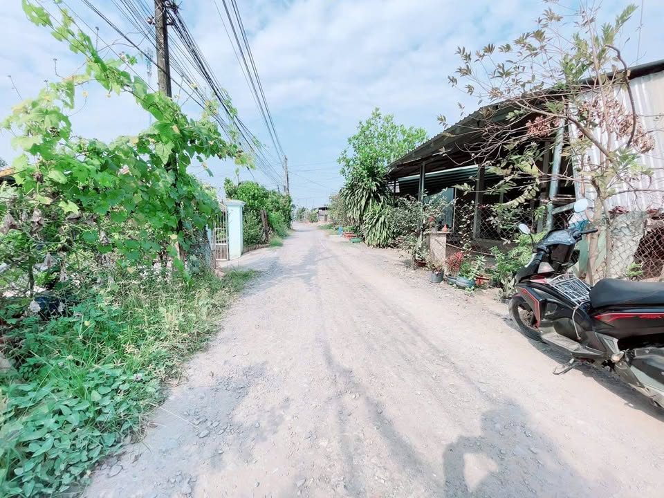 Lô đất Ấp Bình Tiền 1, Đức Hòa 116m² giá 1.299 tỷ - Đầu tư sinh lời ngay!