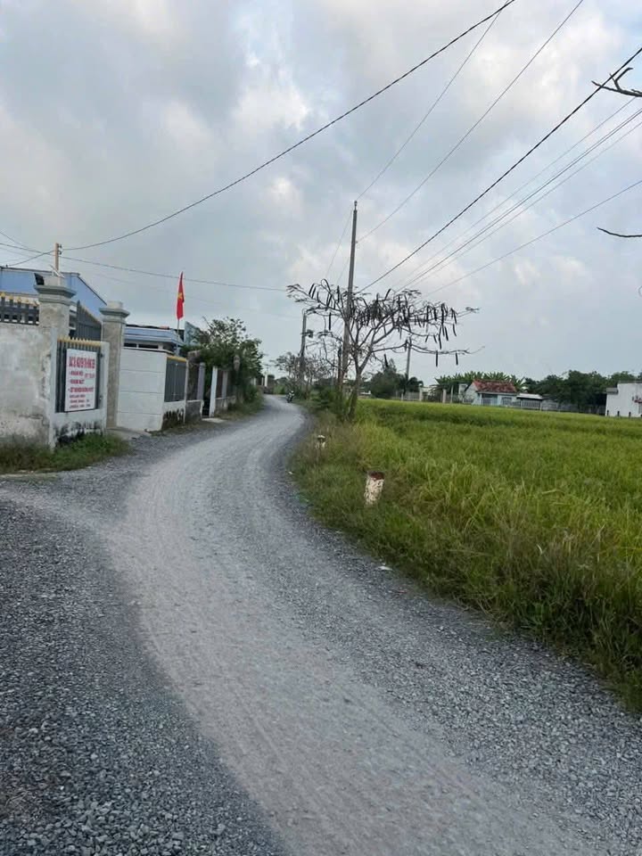 Đất nông nghiệp 3350m² tại mặt tiền đường Cầu Miễu, Long An - Đầu tư sinh lời ngay!