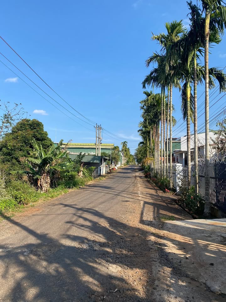 Đất Thổ Cư Phường Tân An Mới 250m² giá 1.65 tỷ - Gần Chợ và Trường Học!