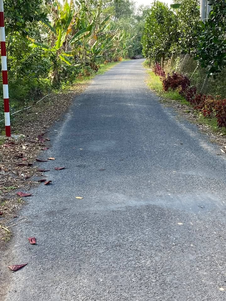 Đất nền Hội Xuân Cai Lậy 250m² giá 750 triệu - View sông Ba Rài tuyệt đẹp!