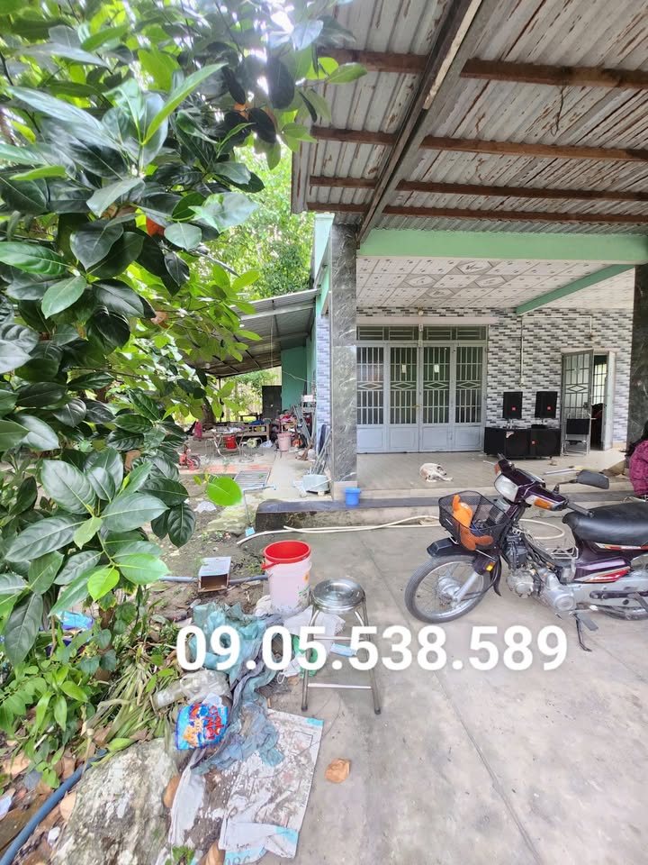 Nhà vườn Lô 6, An Nhơn Tây, Củ Chi 1400m² giá 4 tỷ - Cơ hội đầu tư hấp dẫn!