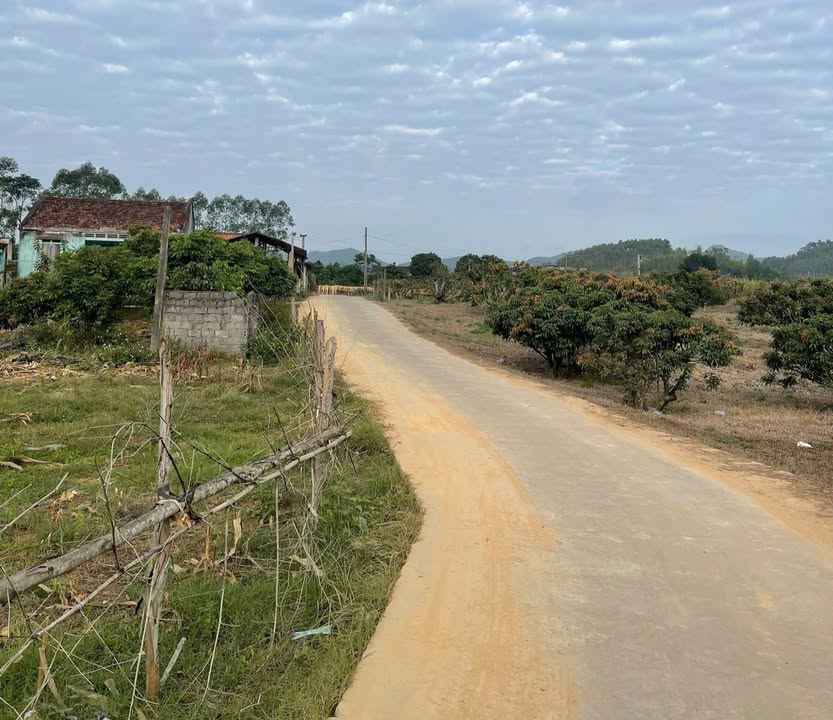 Đất vườn 100m² mặt tiền 20m tại Vô Tranh, Lục Nam - Giá chỉ từ 900 triệu!