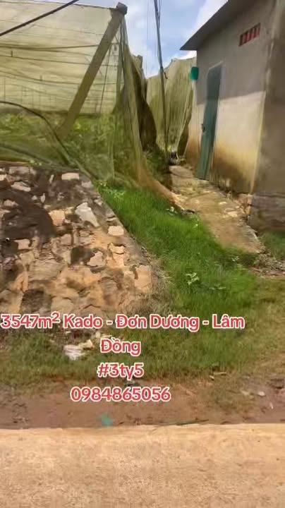 Đất dự án Kado Đơn Dương 3547m² giá 3.5 tỷ - Pháp lý rõ ràng, sẵn sàng giao dịch!