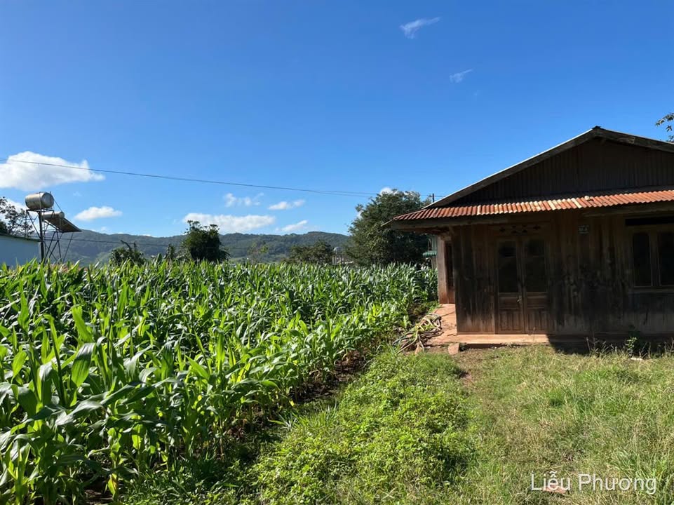 Lô đất mặt tiền DH14, Đơn Dương 100m² giá 750 triệu - Đầu tư sinh lời dễ dàng!