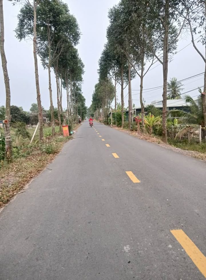 Đất mặt tiền Ấp 10, xã Lương Hòa, 2879m² giá 13 tỷ - Tiềm năng kinh doanh lớn!