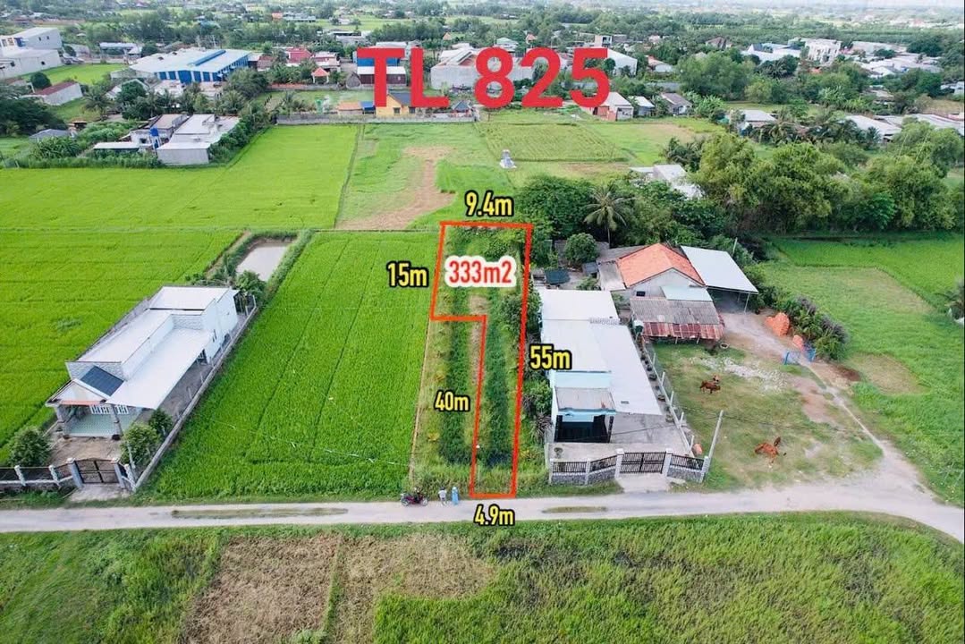 Đất nền Hòa Khánh Đông, Đức Hòa 333m² giá chỉ 1.4 tỷ - Sổ hồng chính chủ!