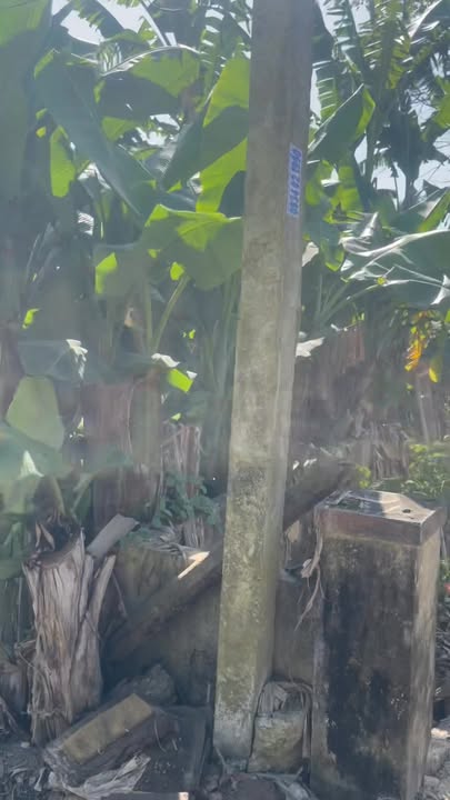 Đất nền Thị trấn Nam Phước 110m² giá chỉ 400 triệu - Đầu tư sinh lời ngay!