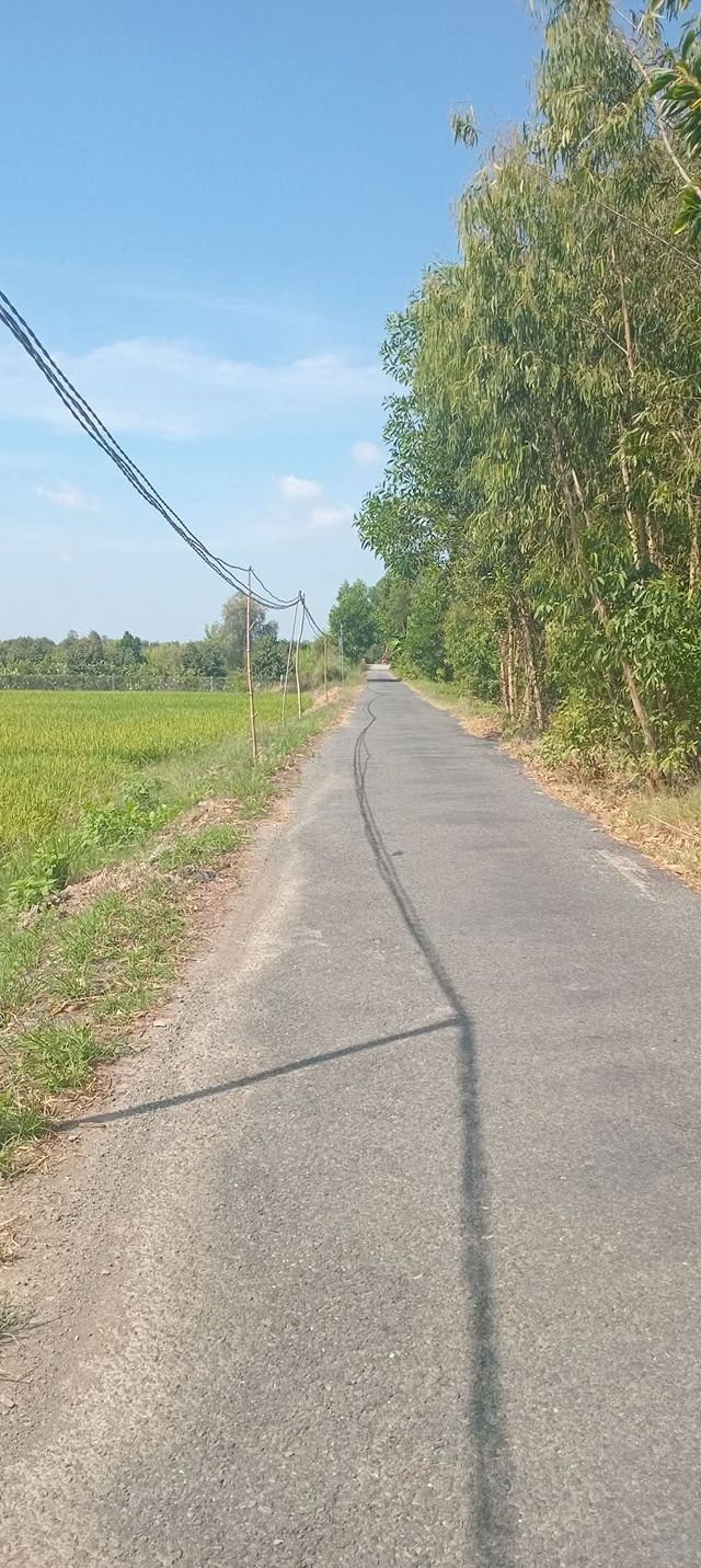 Cho thuê farm 240.000m² tại Xã Tân Điền, Gò Công Đông - Tận hưởng không gian yên bình!