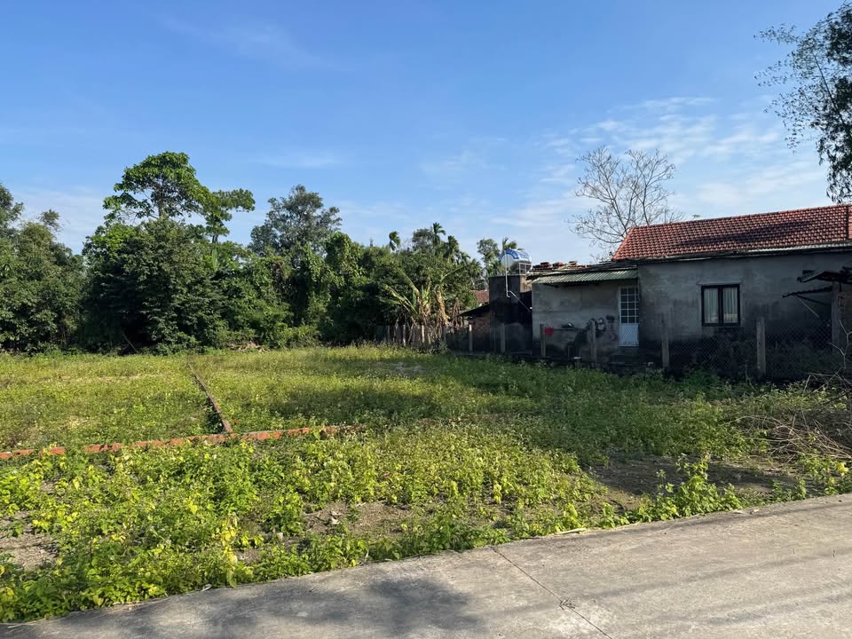 Đất nền Phường Hòa Hải, Quận Ngũ Hành Sơn 140m² giá chỉ 1.175 tỷ - Cơ hội đầu tư tuyệt vời!